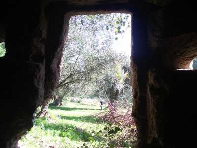L'ingresso rettangolare della dimora: sullo sfondo, gli ulivi del parco
